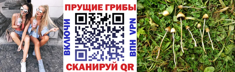Псилоцибиновые грибы прущие грибы Лысково
